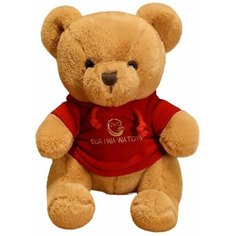 Мягкая игрушка большой плюшевый коричневый медведь в одежде, рост 30 см по спинке, подарок для девочки и для мальчика, WBL12313 Essa
