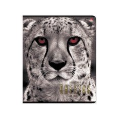 Тетради 48 листов серия "Большие кошки". Набор 5 шт. Цена за 5 штук. Альт