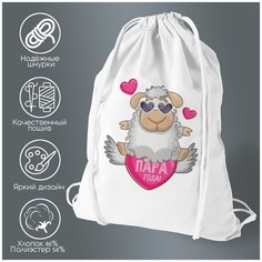 Сумка для обуви CoolPodarok есть парагода мальчик