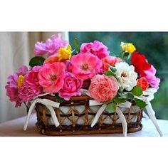 Холст с красками по номерам 22х30 см. Корзина нежных цветов Рыжий кот