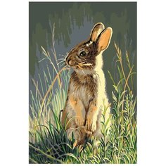 Картина по номерам, "Живопись по номерам", 100 x 150, A404, заяц, трава, лето, животное, милый, еда, пшено