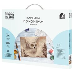 ТРИ СОВЫ картина по номерам Полярная сова, КХ_44165, 40 x 50 см, разноцветный