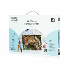 Картина по номерам на холсте ТРИ совы "Хищник", 40*50, с акриловыми красками и кистями (арт. 335154)