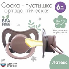 Соска - пустышка ортодонтическая, латекс, +6мес, Лес Нет бренда