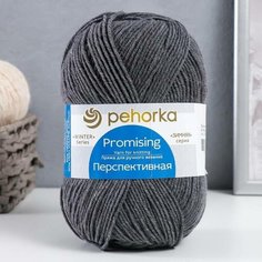 Пряжа "Перспективная" 50% меринос. шерсть, 50% акрил объемный 270м/100гр (414-Меланж), 1шт Пехорка