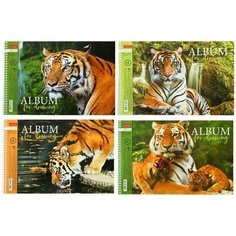 Hatber Альбом для рисования А4, 40 листов, на гребне, "Дикие кошки", обложка мелованный картон, перфорация на отрыв, блок 100 г/м2, микс