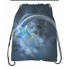 Сумка-мешок для обуви со знаком зодиака Козерог №3 Migom