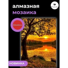 Алмазная картина "Озеро в деревне" 30x40 см Барубу