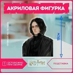 Акриловая фигурка для дома Гарри поттер Северус Снегг гп Harry Potter hp hogwarts v17 Krasnikova