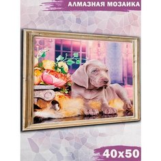 Алмазная мозаика на подрамнике Paintboy