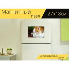 Магнитный пазл "Кот, похмелье, красное похмелье" на холодильник 27 x 18 см. Lots Prints