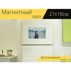Магнитный пазл "Женщины, девчачий, азия" на холодильник 27 x 18 см. Lots Prints