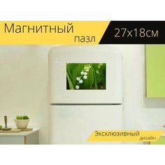 Магнитный пазл "Ландыш, белый, зеленый" на холодильник 27 x 18 см. Lots Prints