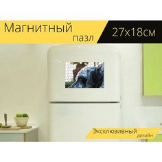 Магнитный пазл "Собака, сеттер, морда" на холодильник 27 x 18 см. Lots Prints