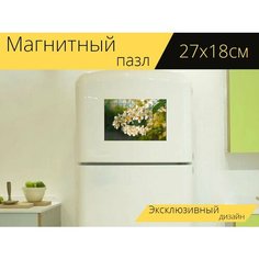 Магнитный пазл "Черемуха, цветущий, цветы" на холодильник 27 x 18 см. Lots Prints