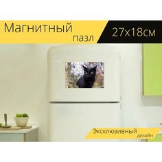 Магнитный пазл "Кот, дерево, взбираться" на холодильник 27 x 18 см. Lots Prints