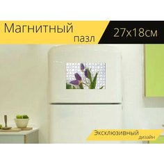 Магнитный пазл "Тюльпаны, бутоны, снег" на холодильник 27 x 18 см. Lots Prints