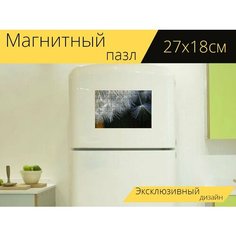 Магнитный пазл "Одуванчик, природа, макрос" на холодильник 27 x 18 см. Lots Prints