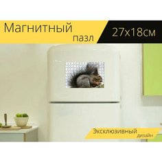 Магнитный пазл "Белка, животное, грызть" на холодильник 27 x 18 см. Lots Prints
