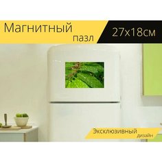 Магнитный пазл "Зеленый, листья, лист" на холодильник 27 x 18 см. Lots Prints