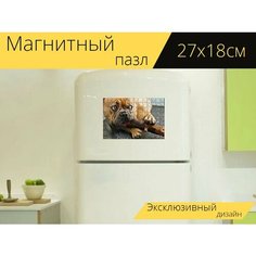 Магнитный пазл "Французский бульдог, палка, глаза" на холодильник 27 x 18 см. Lots Prints