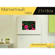 Магнитный пазл "Розы, роза, сад" на холодильник 27 x 18 см. Lots Prints