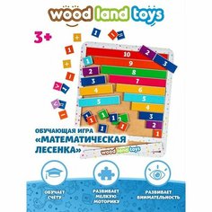 Обучающая игра «Математическая лесенка» Woodland