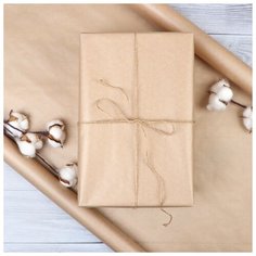 Бумага для декора и флористики, крафт, коричневая, однотонная, двусторонняя, рулон 1шт, 0,72 x 50 м Noname