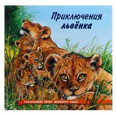 Познаем мир вокруг нас «Приключения львенка» Flamingo