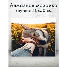 Алмазная мозаика (круглая) Ласковый зверь 40х50 см Colibri