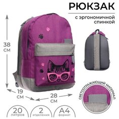 Рюкзак молодёжный, 38 х 28 х 19 см, эргономичная спинка, Calligrata Э "Кот"