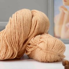 2шт, Пряжа "Карачаевская" 100% акрил 820-850м/250-280гр (25 Бежевый) Нет бренда