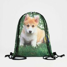 Мешок для обуви Любимчики-корги 32*0,5*40 см, отдел на шнурке 9351688 Сима ленд
