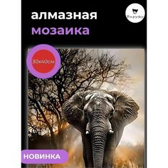 Алмазная мозаика/Живопись/Картина стразами "Слон" 30х40 см Барубу
