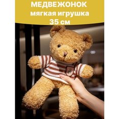 Мягкая игрушка Плюшевый мишка в свитере TT Toys