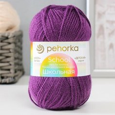 Пехорский текстиль Пряжа "Школьная" 100% акрил 150м/50гр (191 Ежевика) Пехорка