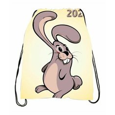 Мешок для обуви год Кролика №2 Anima Shop