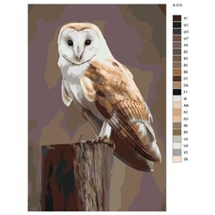 Картина по номерам X-313 "Сова" 70x110 Brushes Paints