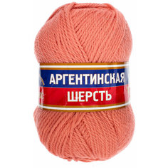 Пряжа Камтекс Аргентинская шерсть персик(037), 100%шерсть, 200м, 100г, 1шт