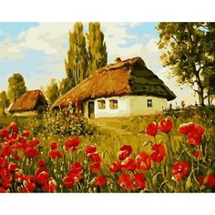 Картина по номерам Хутор 40х50 см Hobby Home