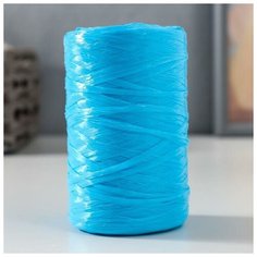 Пряжа "Для вязания мочалок" 100% полипропилен 400м/100гр (голубой) Noname