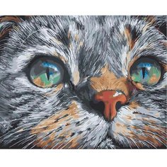 Картина по номерам Взгляд кошки 40х50 см Hobby Home