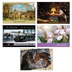 Альбом для рисования А4, 48 листов на гребне "Ассорти", обложка мелованный картон, блок 100 г/м2, перфорация на отрыв, микс Hatber