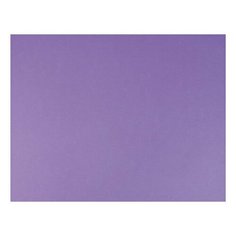 Бумага цветная для пастели Fabriano Tiziano (10 листов, 500х650мм, 160 г/кв. м, ирис) (52551045)