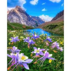 Алмазная мозаика 40x50 см. на холсте с подрамником (картина стразами, алмазная вышивка) Весна в горах Boom Boom Shop