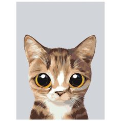 Картина по номерам, "Живопись по номерам", 45 x 60, A567, рыжий котёнок, большие глаза, серый фон, животное
