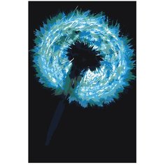 Картина по номерам, "Живопись по номерам", 48 x 72, F69, одуванчик, макро, цветок, природа