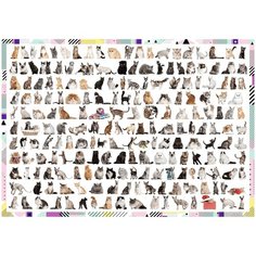 Пазл Trefl 1000 деталей: 208 кошек