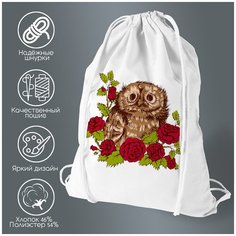 Сумка для обуви CoolPodarok Животные. Сова с розами