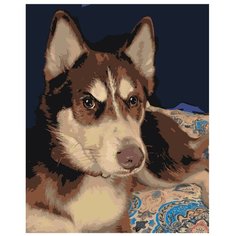 Картина по номерам, "Живопись по номерам", 60 x 75, ets548-40501, хаски, породистый, пёс, животное, домашний, уют, милый, щенок